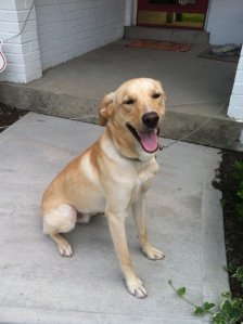 He smiles whenever I take his picture! 