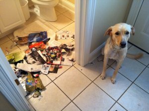 He did a little light reading while I went to the gym...