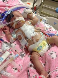 550305_185103368306265_6704401_n