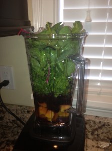 Into the Vitamix!