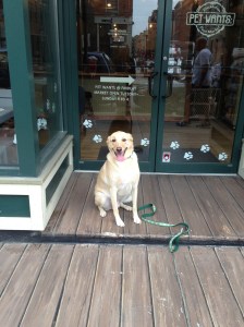 Gus wants Pet Wants: The Urban Feed Market