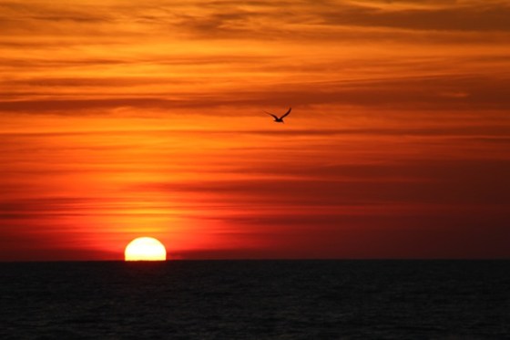 Sunset in Boca Grande, FL. Easily my most favorite thing to watch in the world...