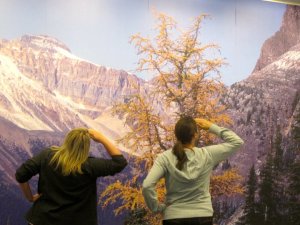 283864_10100884677331399_7178987_n